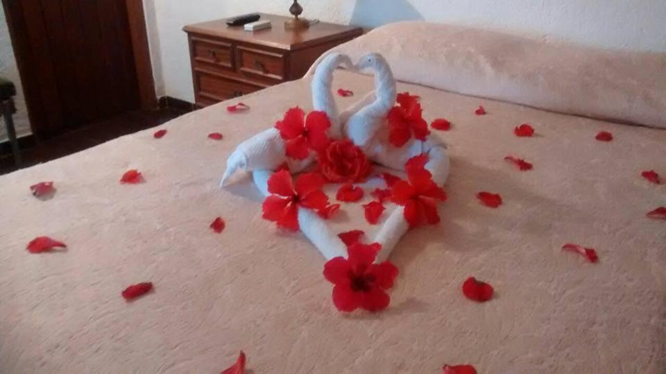 Hotel Fazenda Villa-Forte Engenheiro Passos Εξωτερικό φωτογραφία